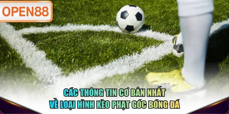 Các thông tin cơ bản nhất về loại hình kèo phạt góc bóng đá
