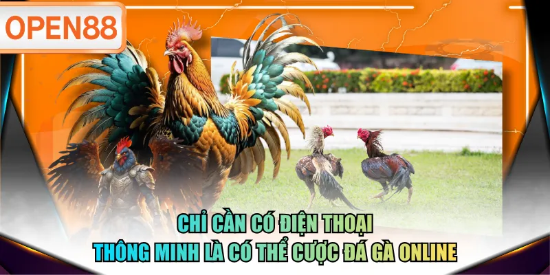 Chỉ cần có điện thoại thông minh là có thể cược đá gà online