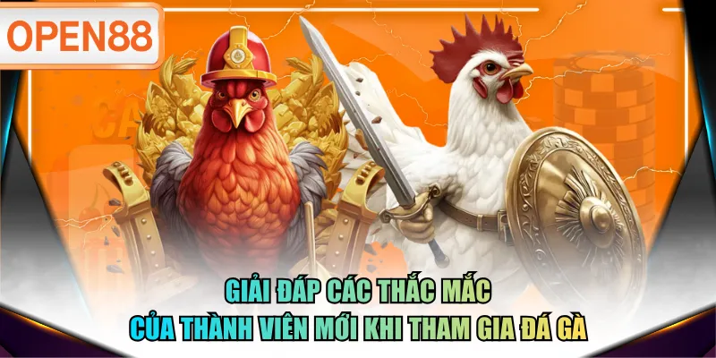 Giải đáp các thắc mắc của thành viên mới khi tham gia đá gà